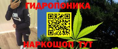 mdpv Ленинск-Кузнецкий