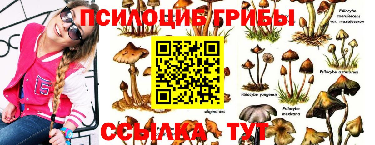 Псилоцибиновые грибы GOLDEN TEACHER Великие Луки