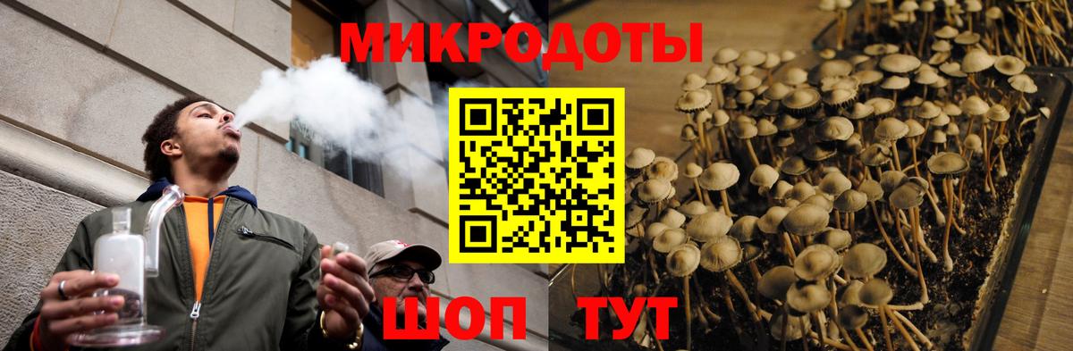 Великие Луки  Псилоцибиновые грибы MAGIC MUSHROOMS  Вход с VPN 